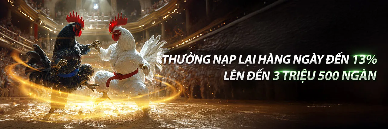 Đá gà trực tuyến 8go với những trận đấu kịch tính