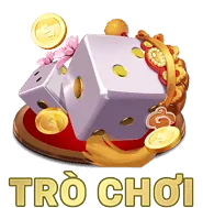 Nguyên tắc chính xác dữ liệu