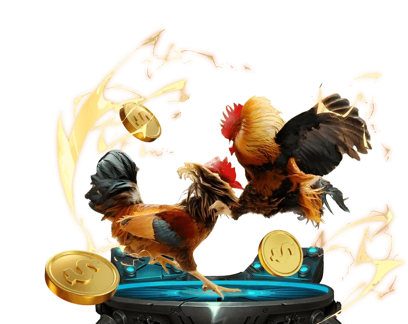 Cá cược thể thao trực tuyến với các môn bóng đá, bóng rổ